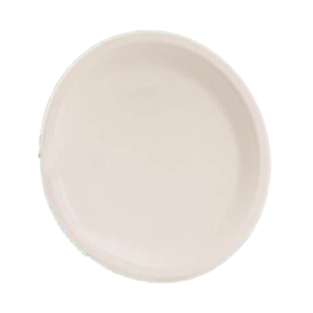 Bagasse Plate Biodegradable