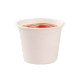 Bagasse Pot Biodegradable