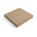 Plain Brown Pizza Box
