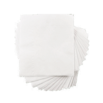 NAPKINS (2PLY)  