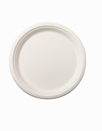10" BAGASSE PLATES ROUND (500)