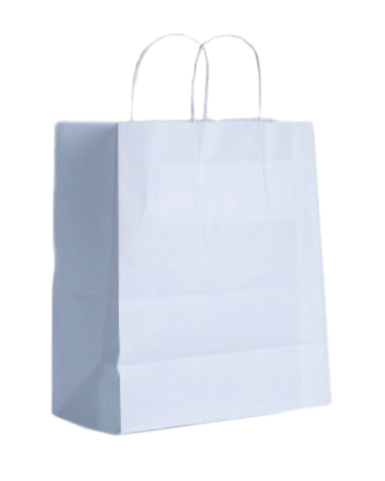 TWISTED HANDLE BAGS LARGE WHITE (250)