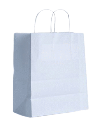 TWISTED HANDLE BAGS LARGE WHITE (250)