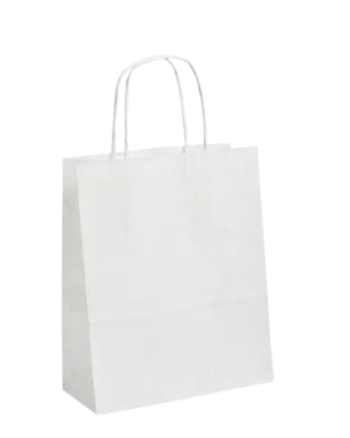 TWISTED HANDLE BAGS MEDIUM WHITE (250)